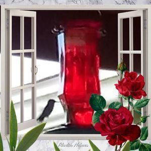 Meet your Posher, Marilyn